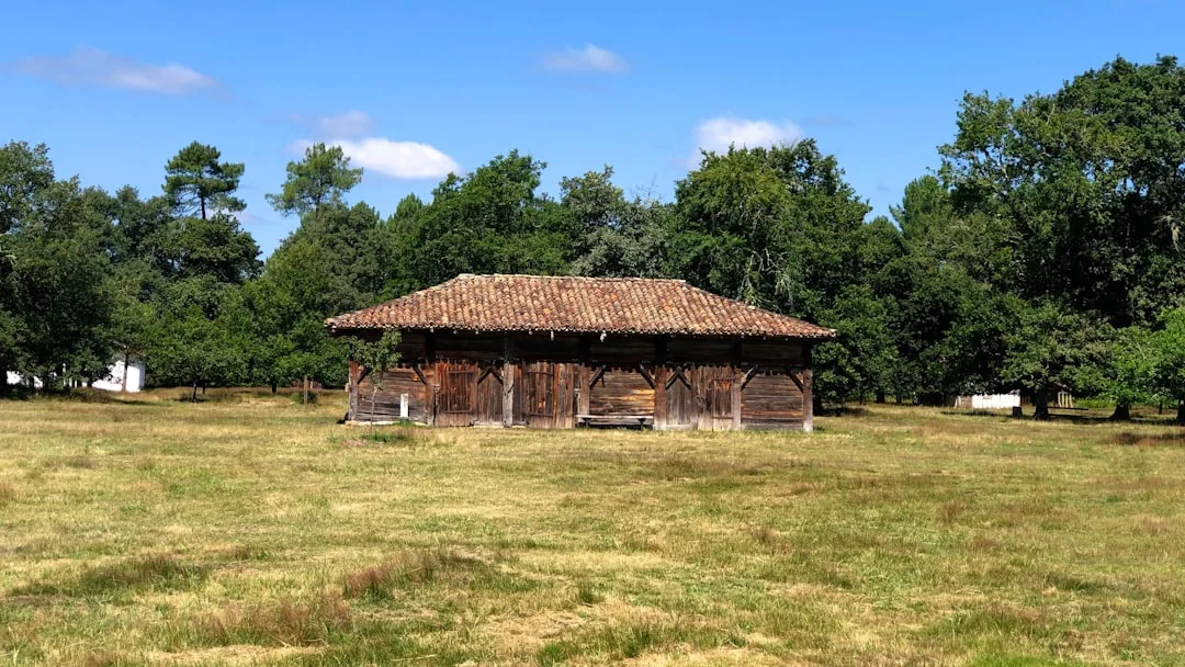 Gastronomie de la Sarthe